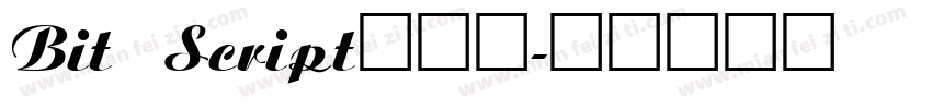 Bit Script手机版字体转换